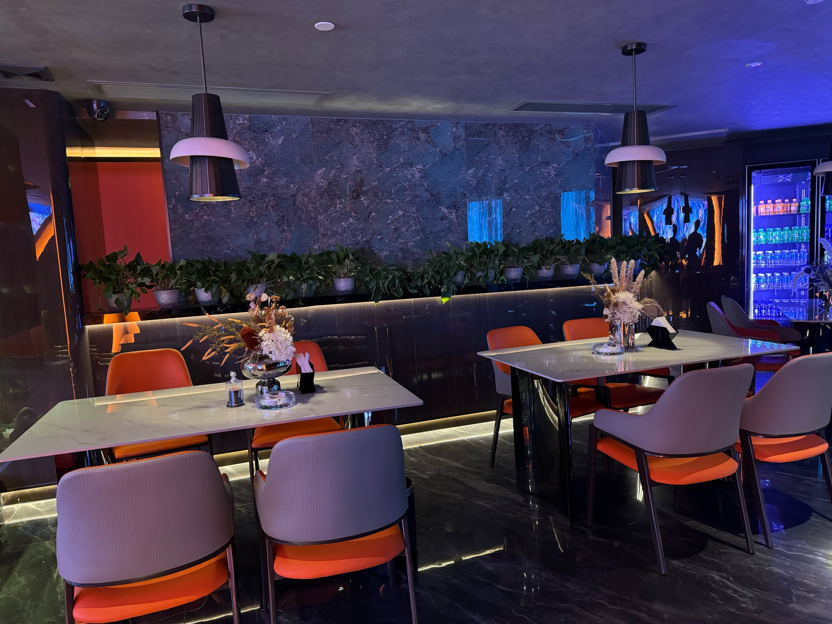 松原商务ktv单人商务ktv优选场所-乾安县ktv预定